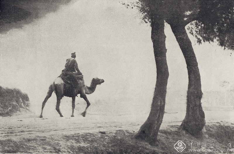 中国摄影大师作品赏析,中国摄影大师吴印咸摄影作品