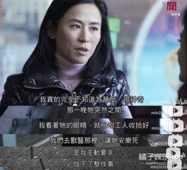 tvb花旦陈慧珊否认转行当英文老师,陈慧珊tvb老师