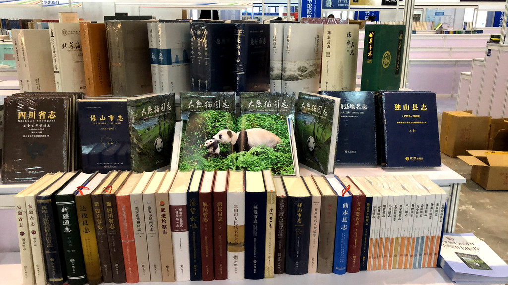 在“壮丽史诗、伟大飞跃”的主题展览中这些地方志成果集中展现