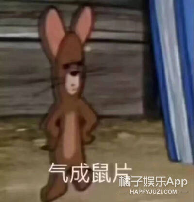 回家的诱惑艾莉最开始长啥样,回家的诱惑艾莉为什么离开