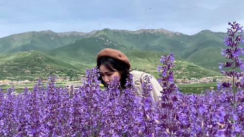 打卡阿坝,打卡川西甘孜小众秘境