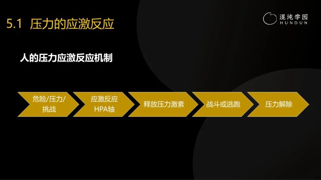 清华大学彭凯平教授：采访了30多位中国卓越企业家，发现成事的秘密难而简单