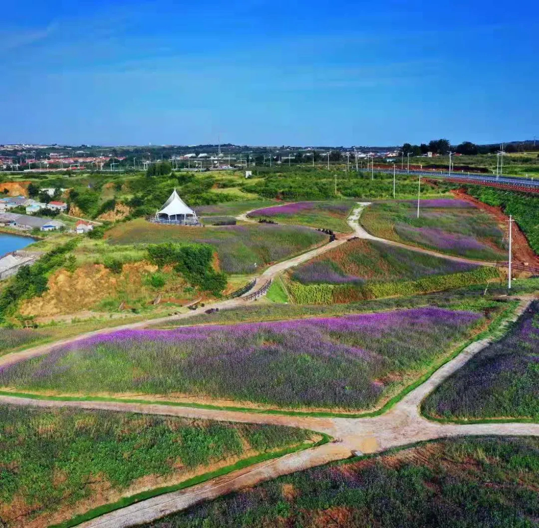 蓬莱的绿色大海,蓬莱的海滨路