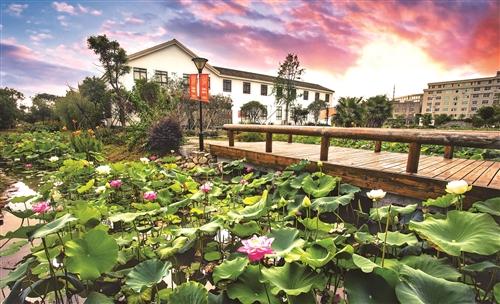 金清镇最新规划图,金清城市建设