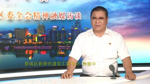 浙江金华婺城新狮街道,婺城区新狮街道规划