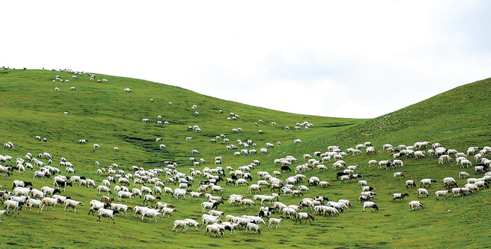 三江集团投资公司,三江集团产品