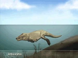 古巴变性手术,去国外做变性手术需要什么手续