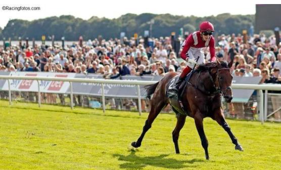 马匹数量世界排名,世界排名前十的名马