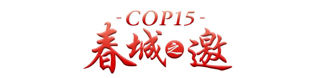 COP15“聚焦春城”｜登万溪冲览两湖胜景，夜游民族村享饕餮盛宴