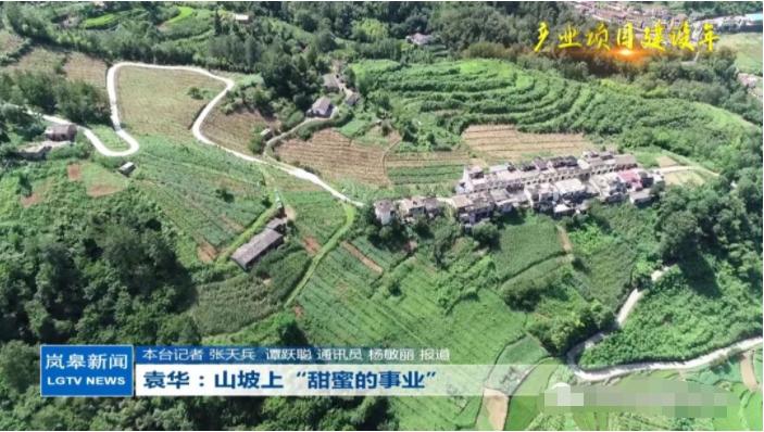 袁华巅峰时期,袁华的巅峰时刻