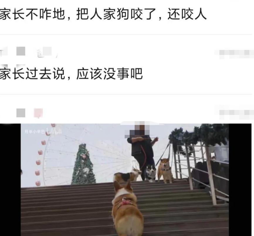 黑心商家遭报应完整视频,黑心商家遭报应了