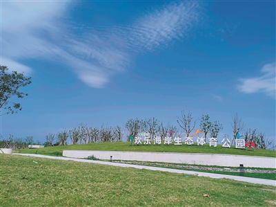 体育传递正能量,体育引领五育