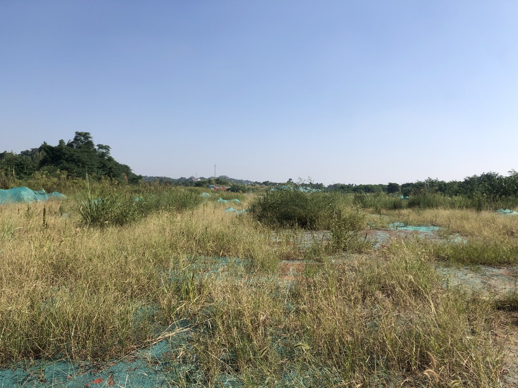 四川省生态环境保护整改清单,四川生态环保最新消息