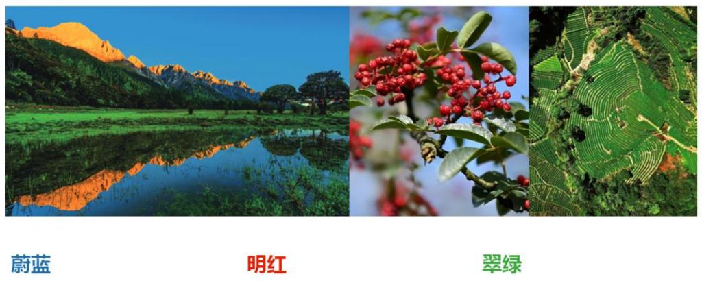 四川乡当潮助力乡村振兴,四川吉祥物