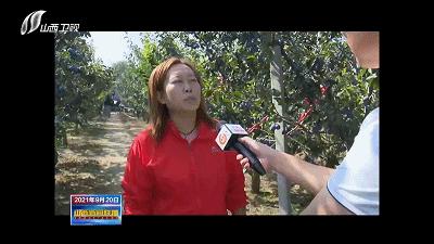 农民田间辛勤劳作喜迎首个丰收节,庆丰收让乡亲们的日子越过越红火