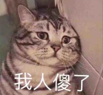 拜托给赵露思们好好梳下头