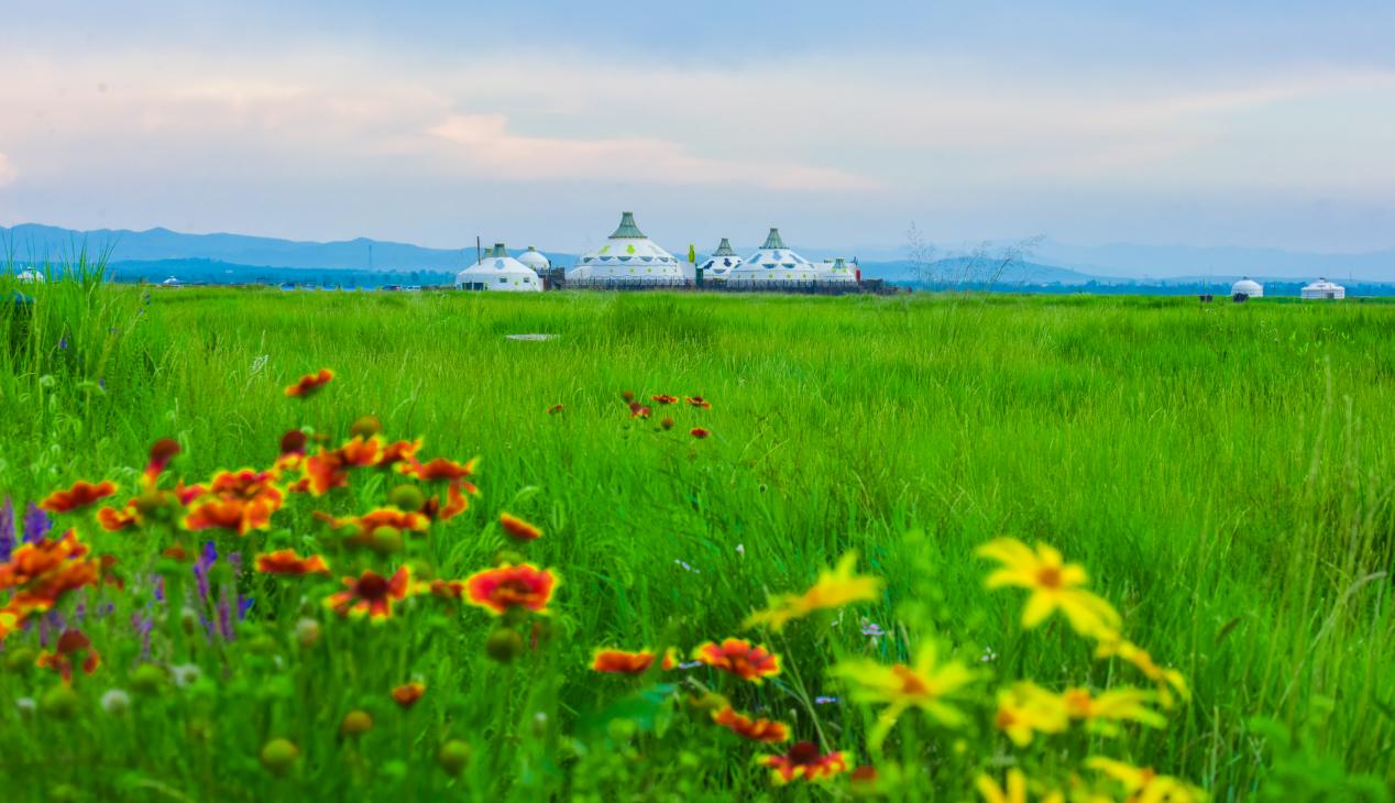 <html>
<head><title>502BadGateway</title></head>
<body>
<center><h1>502BadGateway</h1></center>
<hr><center>nginx</center>
</body>
</html>
<!--apaddingtodisableMSIEandChromefriendlyerrorpage-->
<!--apaddingtodisableMSIEandChromefriendlyerrorpage-->
<!--apaddingtodisableMSIEandChromefriendlyerrorpage-->
<!--apaddingtodisableMSIEandChromefriendlyerrorpage-->
<!--apaddingtodisableMSIEandChromefriendlyerrorpage-->
<!--apaddingtodisableMSIEandChromefriendlyerrorpage-->
