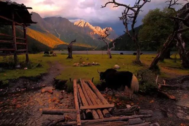 10月17日雅康高速路况实时查询,10月4日雅康高速实时路况