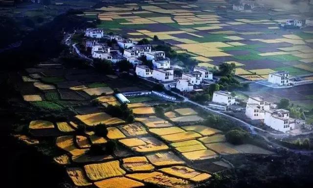 2020年10月3号雅康高速路况,雅康高速10月1号的路况