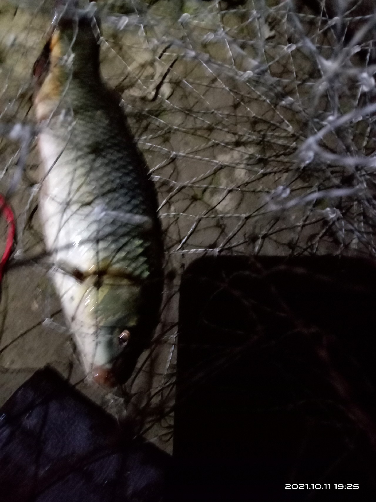 夜钓走水太厉害漂立不起来,夜钓鱼起浮到水面了怎么钓