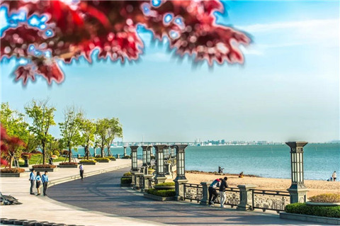 青岛高端星河湾,星河湾青岛商业