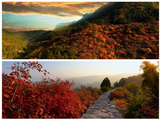 石家庄十一周边自驾游攻略,十一石家庄到胡杨林自驾游攻略