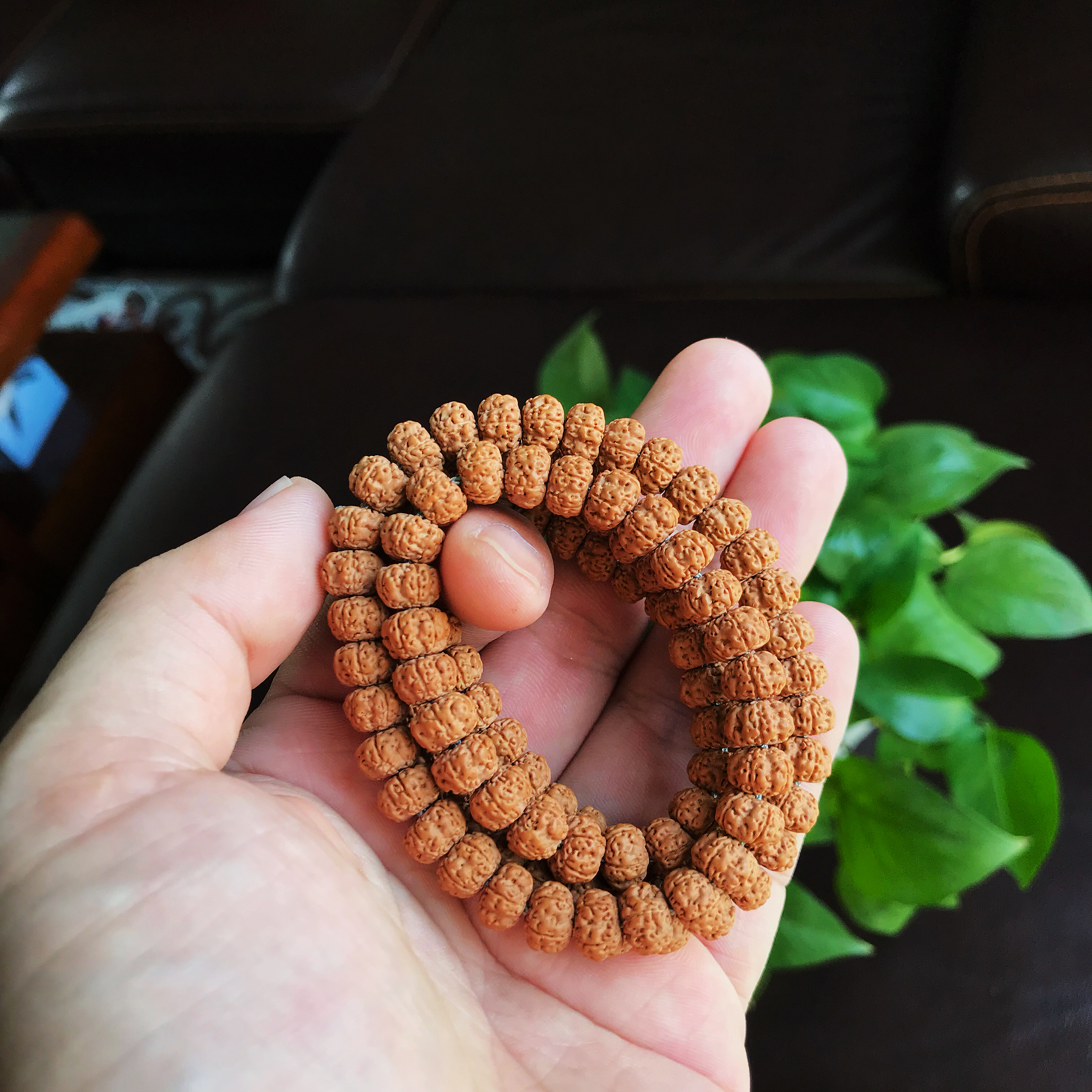 如何挑选一串好小金刚,如何挑选小金刚菩提手串