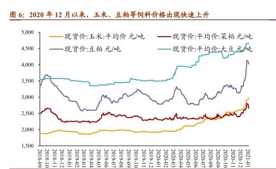 100元买不了3斤蒜苗，是什么在推动物价的上涨？