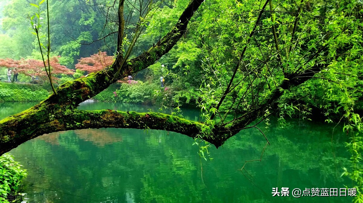 白居易的忆江南全诗注音版,白居易的忆江南朗读及译文