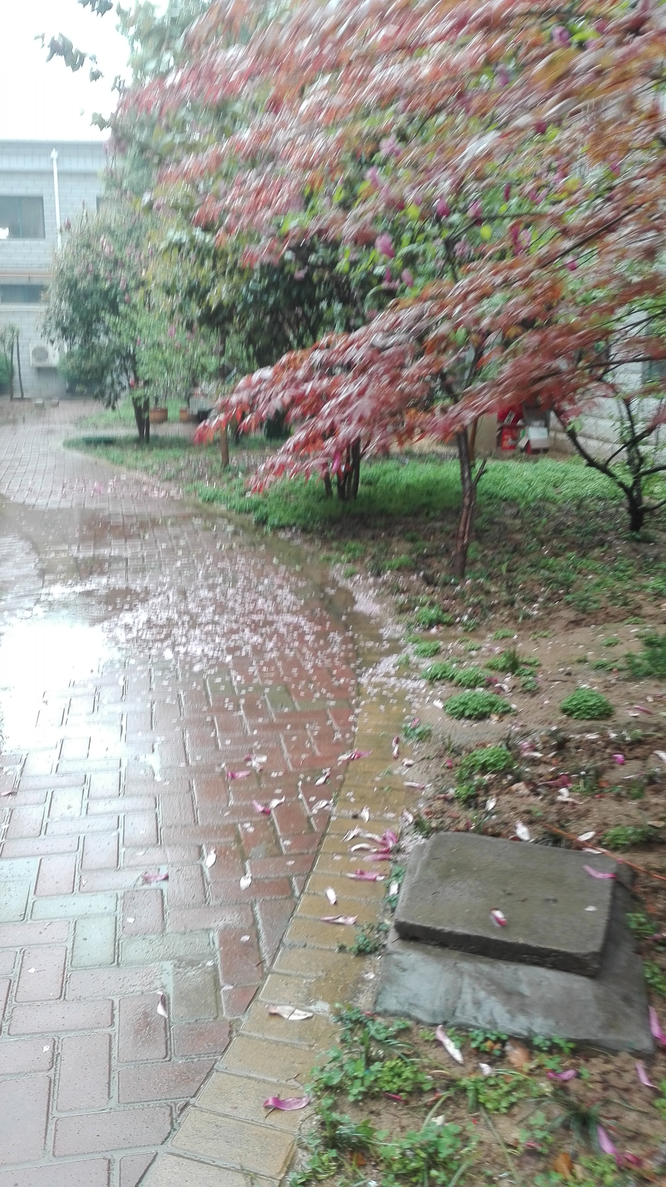 宅在家里出不了门的时候,出不了门在家带孙子玩