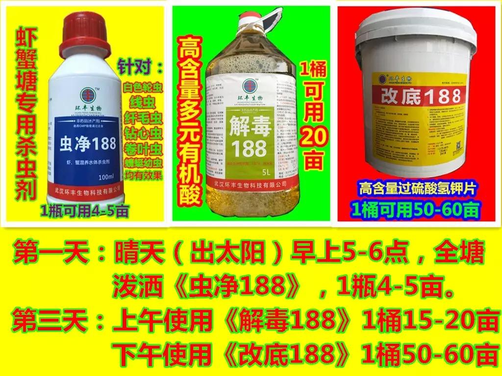 稻虾养殖需要注意什么,稻虾养殖方法及注意事项