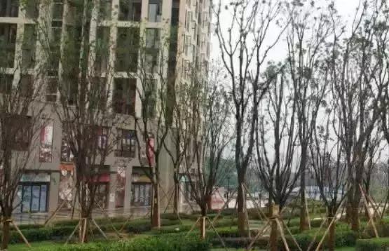 「企鹅前线」这件事不需要讨论,听我的,看看这个二手房榜单