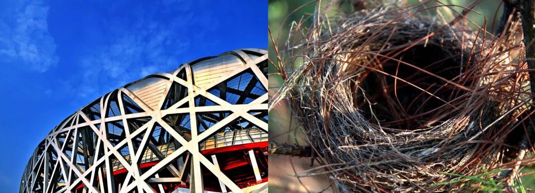 日本发明变态坐垫！让屁股坐在“空气”上，透气、8小时坐不累