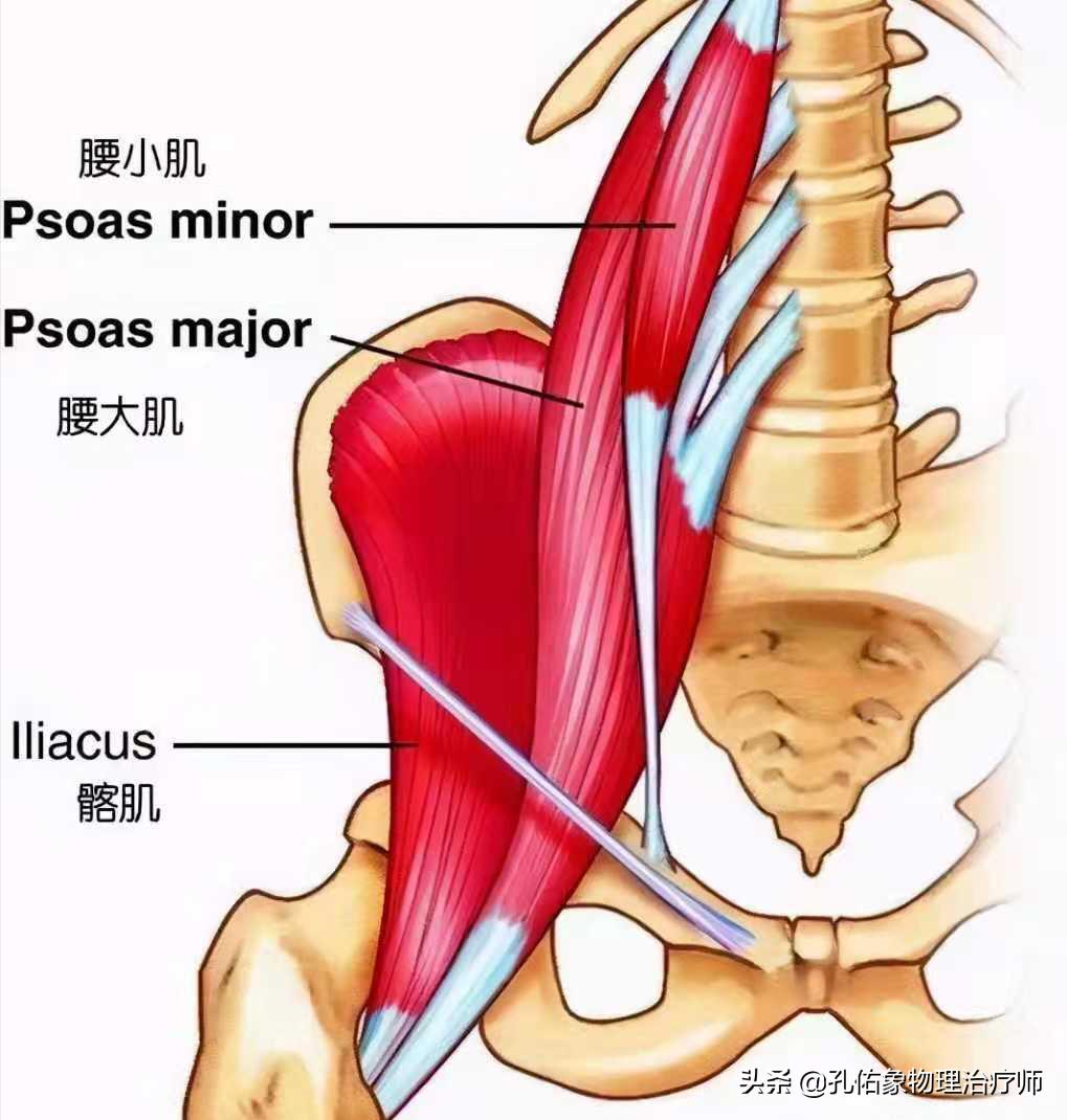 健康科普学这几招缓解产后腰痛,孕晚期突然腰痛厉害是产前征兆吗