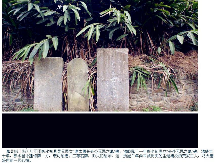 皇帝想灭了大臣简直易如反掌,长孙无忌三朝元老一夜之间灰飞烟灭