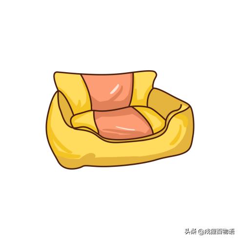 猫咪不怎么睡猫窝怎么办,猫主子不想起床