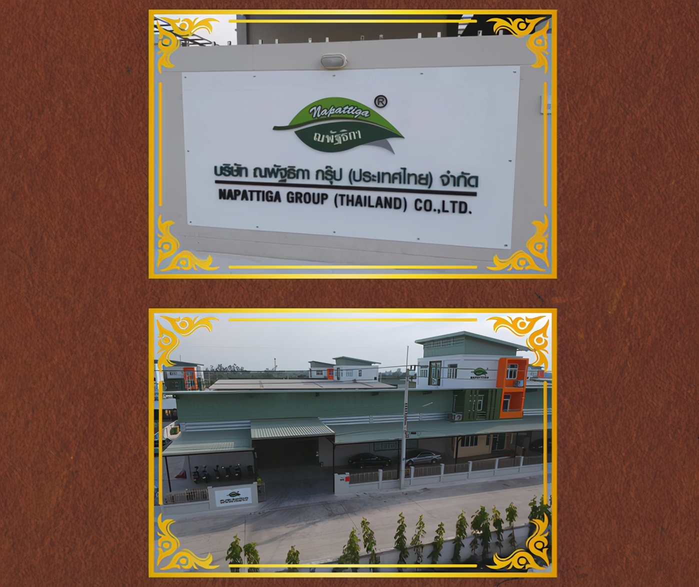 娜帕蒂卡负离子,娜帕蒂卡护颈