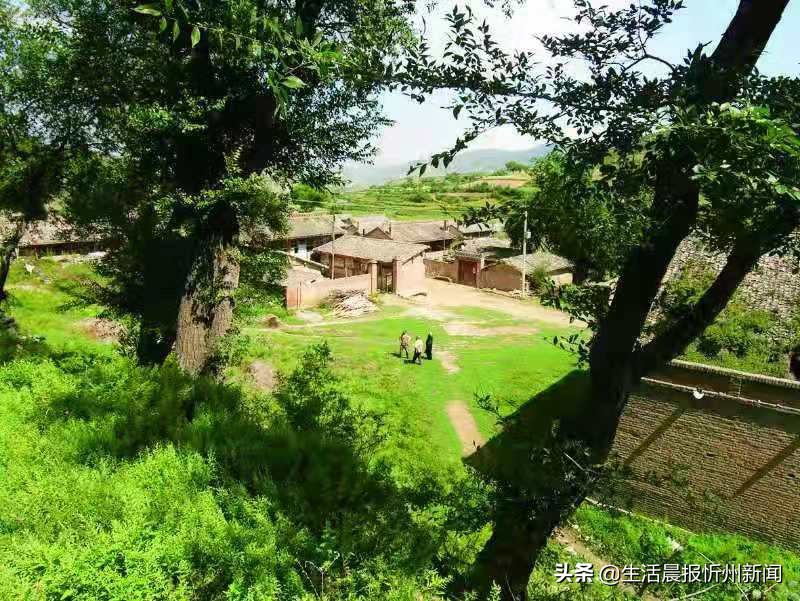 家是一本书！——《神池县碾槽沟高氏家谱》随感