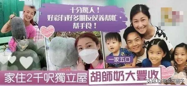 TVB艺人，买房也丧心病狂？
