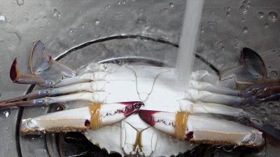 冷冻梭子蟹如何做盐蟹,怎么腌梭子蟹才好吃