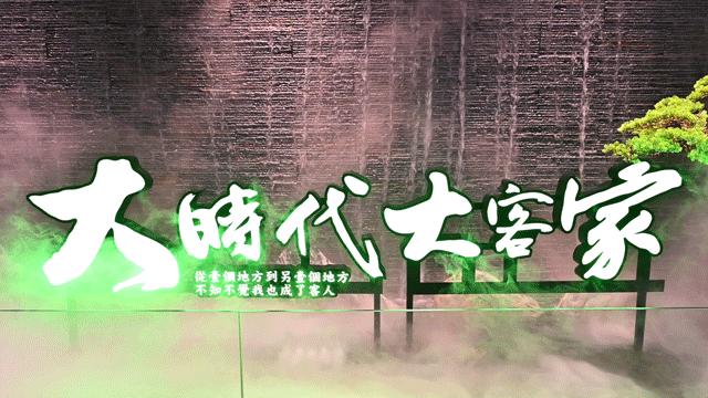 古法盐焗鸡爽爆了,传统盐焗鸡爆汁呈现