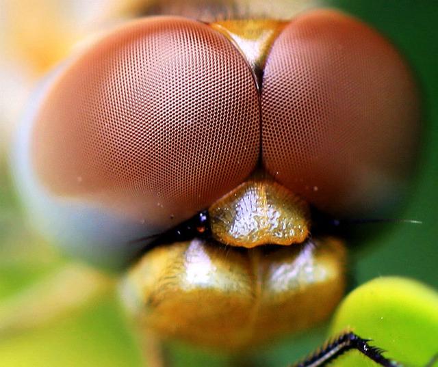 导弹精准击中敌方目标原理,导弹击中移动目标