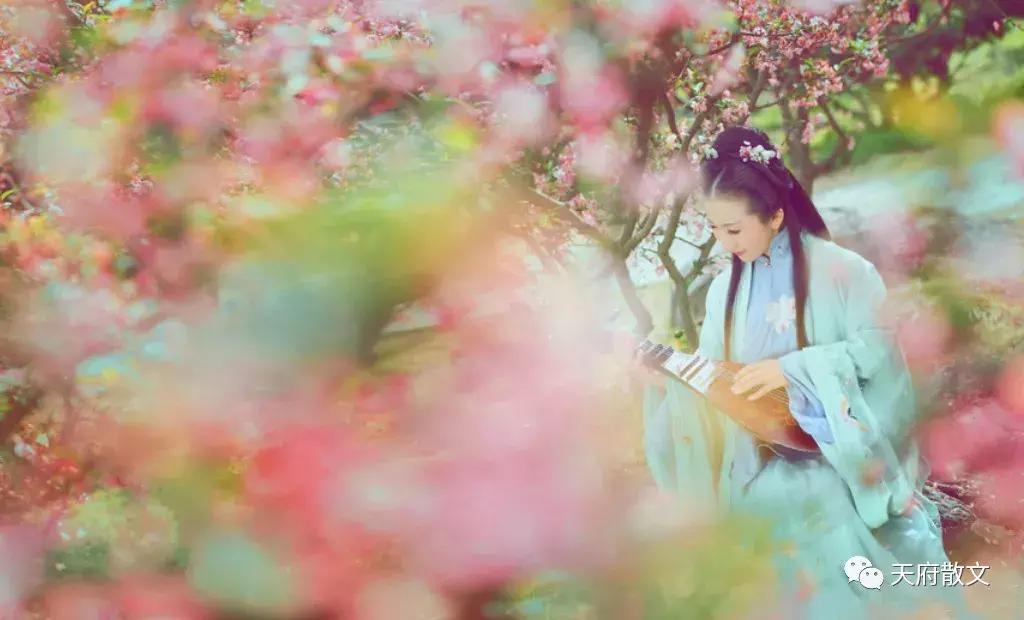 闄屼笂鑺卞紑鎶栭煶鍥涘窛,闄屼笂鑺卞紑鍥涘窛杈惧窞