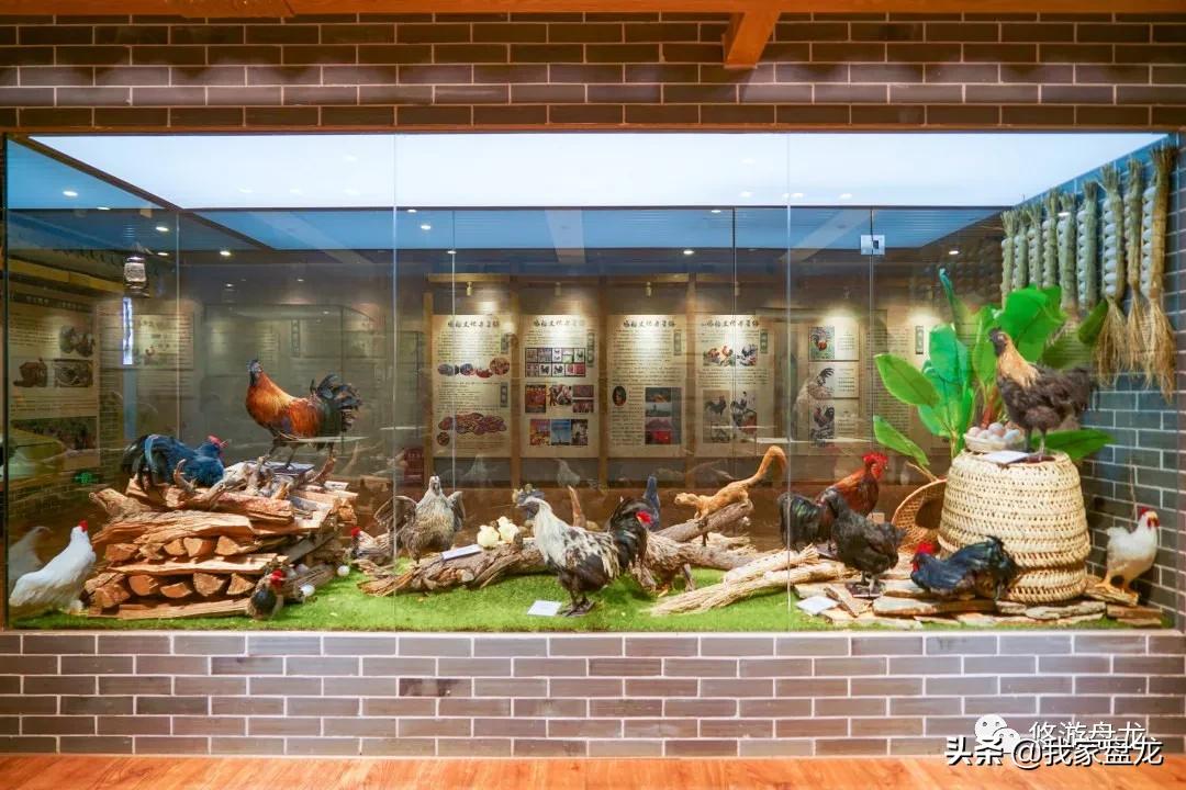 100张照片一百种幸福,100张图片带你去云南