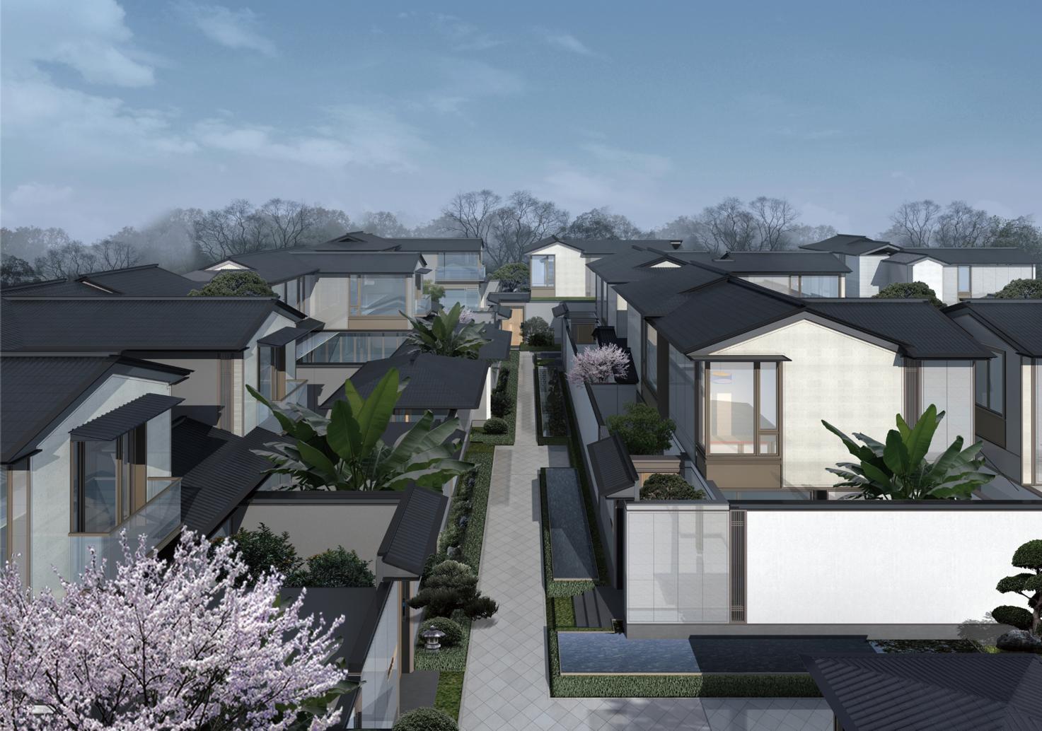 苏州仁恒观棠独栋样板,苏州仁恒洋房