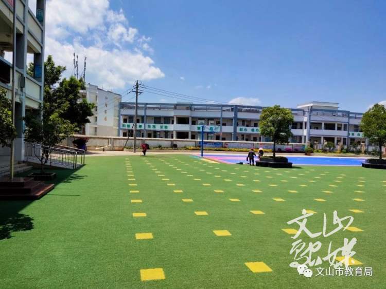 文山市面向全国招聘教师，370个岗位在城区！速扩散