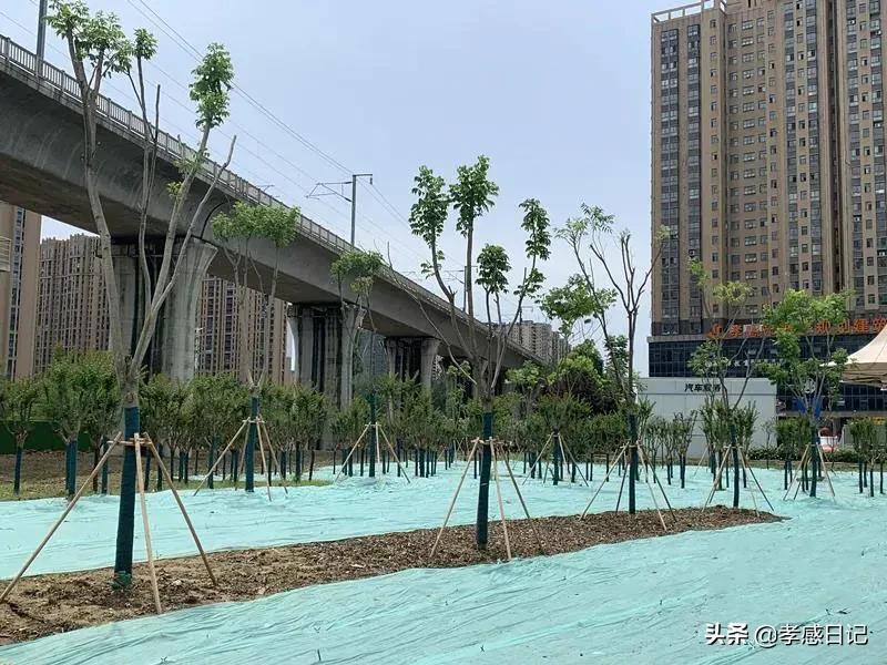 不管你承不承认都是你的错,不管你承不承认都无法否认