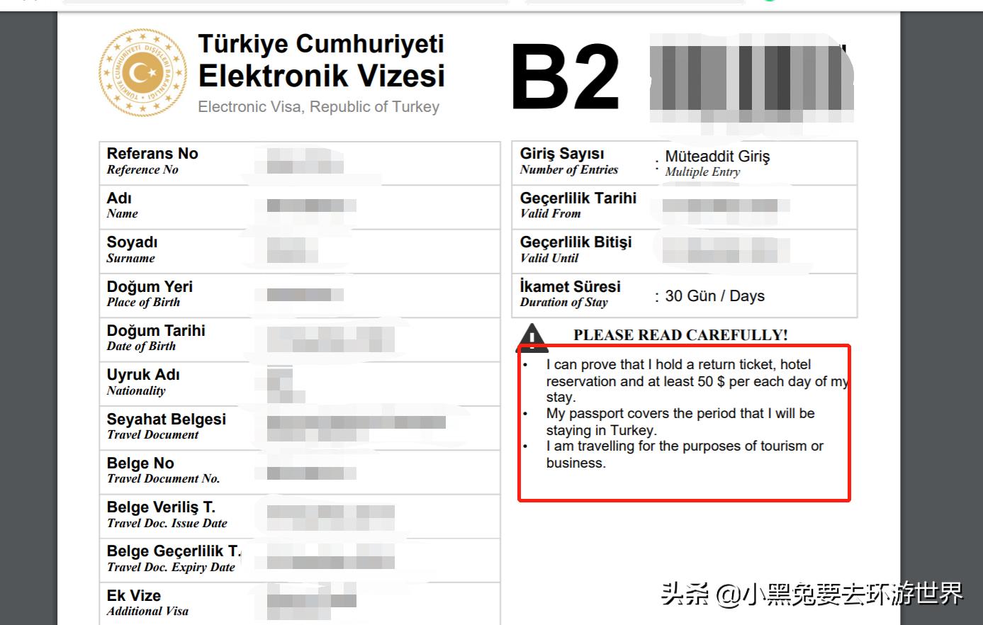 2020土耳其电子签证怎么申请,土耳其电子签证第二集