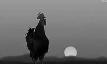 80年代场景农村交公粮,回忆从前农村交公粮