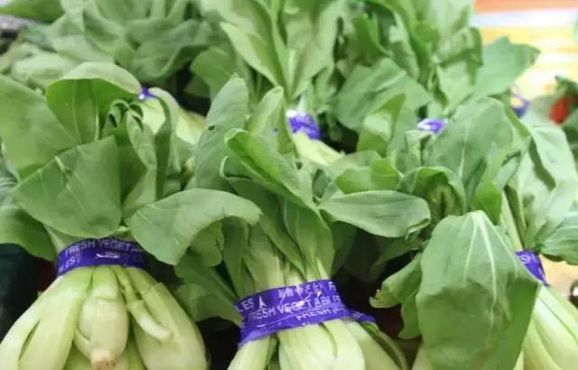 什么菜是有毒的但老百姓都在吃,浙江人警惕这3种菜有毒千万别吃